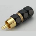 RP62